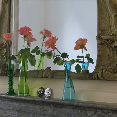 Casa Luna 住宿加早餐酒店 阿姆斯特丹