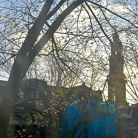 Casa Luna
