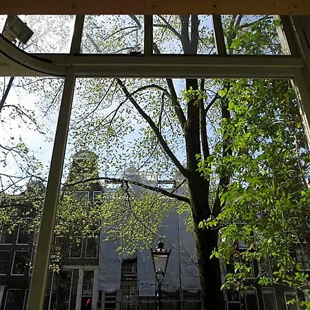 Casa Luna Amsterdam