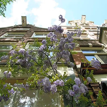 Casa Luna Bed & Breakfast
