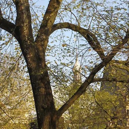 ベッド・アンド・ブレックファスト Casa Luna 3*