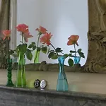 Casa Luna לינה וארוחת בוקר אמסטרדם